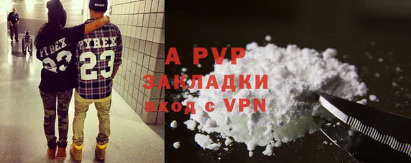 стафф Алзамай