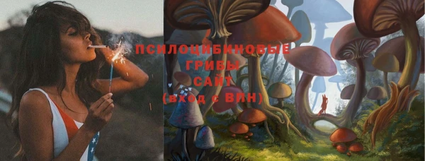 круглые Алексин