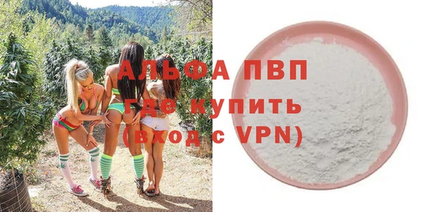 стафф Алзамай