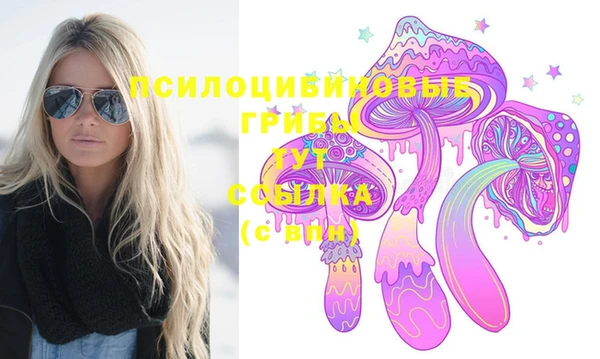круглые Алексин