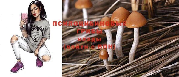 круглые Алексин