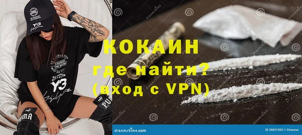 стафф Алзамай