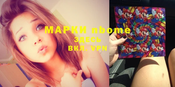 стафф Алзамай
