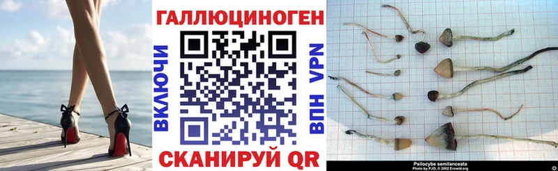 Псилоцибиновые грибы MAGIC MUSHROOMS  закладка  Ликино-Дулёво 